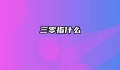 三零指什么