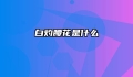 白灼腰花是什么
