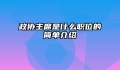 政协主席是什么职位的简单介绍