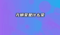 孔明菜是什么菜