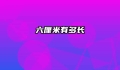 六厘米有多长