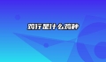 鸡行是什么鸡种