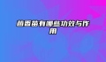 茴香苗有哪些功效与作用