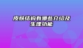 皮肤结构有哪些介绍及生理功能