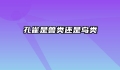 孔雀是兽类还是鸟类