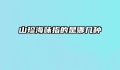 山珍海味指的是哪几种