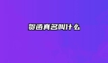 贺函真名叫什么