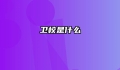 卫校是什么