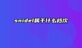 snidel属于什么档次
