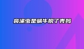 鼻涕虫是蜗牛脱了壳吗