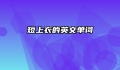 短上衣的英文单词