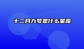 十二月九号是什么星座