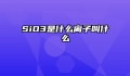 SiO3是什么离子叫什么