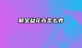 聚宝盆花卉怎么养