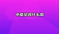 小瓜又名什么瓜
