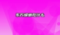 东方蝾螈吃什么