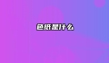 色纸是什么