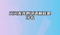 闪闪发光的词语解释是什么