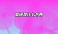 蟹柳是什么东西