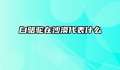 白骆驼在沙漠代表什么