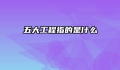 五大工程指的是什么