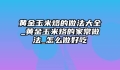 黄金玉米烙的做法大全_黄金玉米烙的家常做法_怎么做好吃