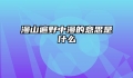 漫山遍野中漫的意思是什么