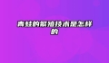 青蛙的繁殖技术是怎样的