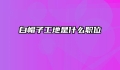 白帽子工地是什么职位