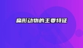 扁形动物的主要特征