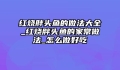 红烧胖头鱼的做法大全_红烧胖头鱼的家常做法_怎么做好吃