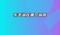 东平湖在哪个城市