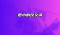 胆小的反义词