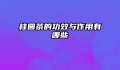 桂圆茶的功效与作用有哪些
