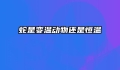 蛇是变温动物还是恒温