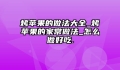 烤苹果的做法大全_烤苹果的家常做法_怎么做好吃.