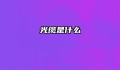 光缆是什么