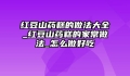 红豆山药糕的做法大全_红豆山药糕的家常做法_怎么做好吃
