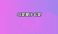 乌菜是什么菜