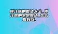 椰汁糕的做法大全_椰汁糕的家常做法_怎么做好吃.