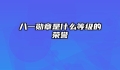 八一勋章是什么等级的荣誉