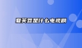 夏芙蓉是什么电视剧
