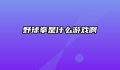 野球拳是什么游戏啊