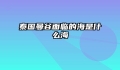 泰国曼谷面临的海是什么海