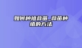如何种植蒜苗_蒜苗种植的方法