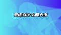 老虎为什么叫大虫