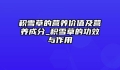 积雪草的营养价值及营养成分_积雪草的功效与作用