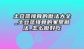 土豆蒸排骨的做法大全_土豆蒸排骨的家常做法_怎么做好吃
