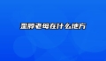 歪脖老母在什么地方