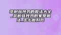 茶树菇炖鸡的做法大全_茶树菇炖鸡的家常做法_怎么做好吃